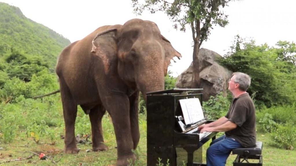 Beethoven-elefante