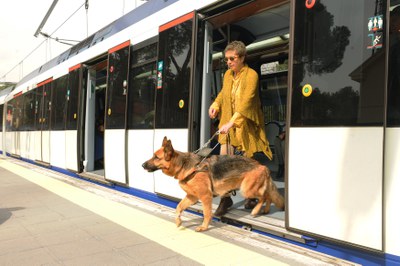 VIAJAR-CON-PERRO-GUIA